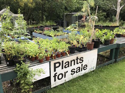 Used Plant Sales 